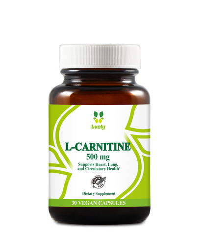 L-Carnitine 500 mg