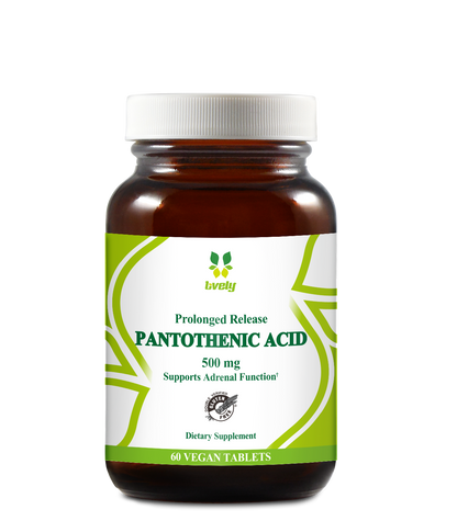 Prolonged Release Pantothenic Acid 500 mg